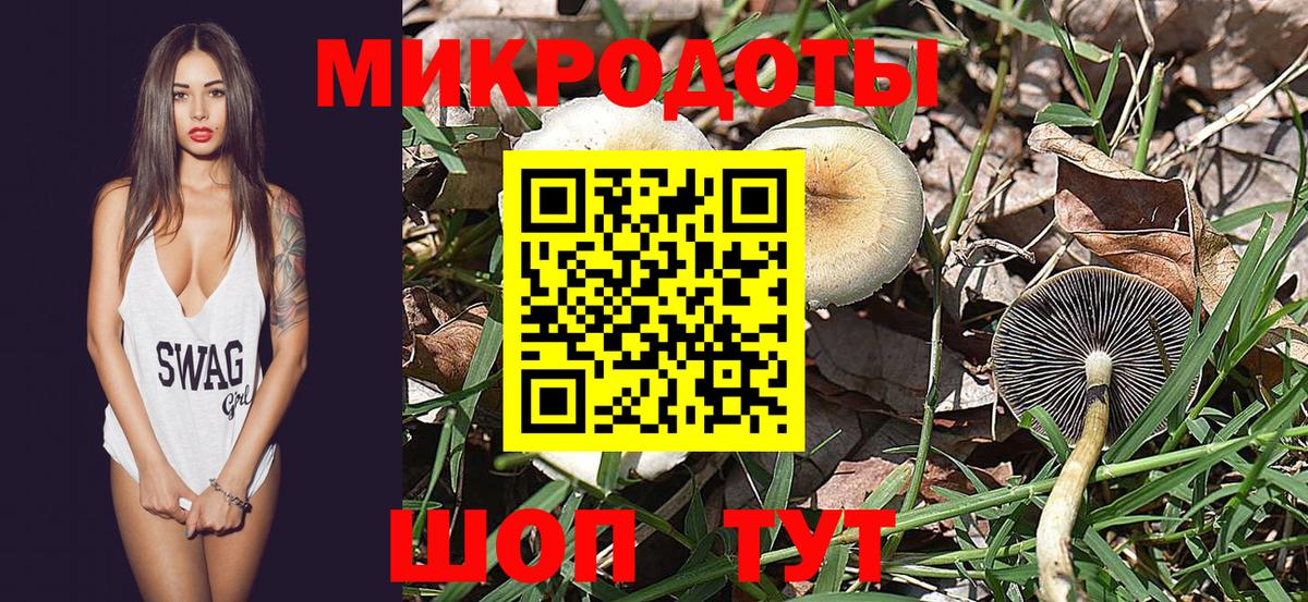 Котельники  Псилоцибиновые грибы Magic Shrooms  Вход с VPN  где купить   Псилоцибиновые грибы MAGIC MUSHROOMS 