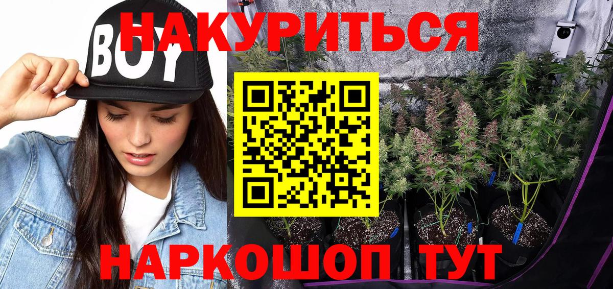 Котельники  Бошки Шишки планчик  Вход с VPN  Марихуана индика  Конопля SATIVA & INDICA 